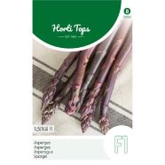 Asparagus Albenga Purple F1 Seeds